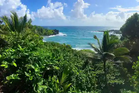 Maui: Tour panoramico della Strada per Hana