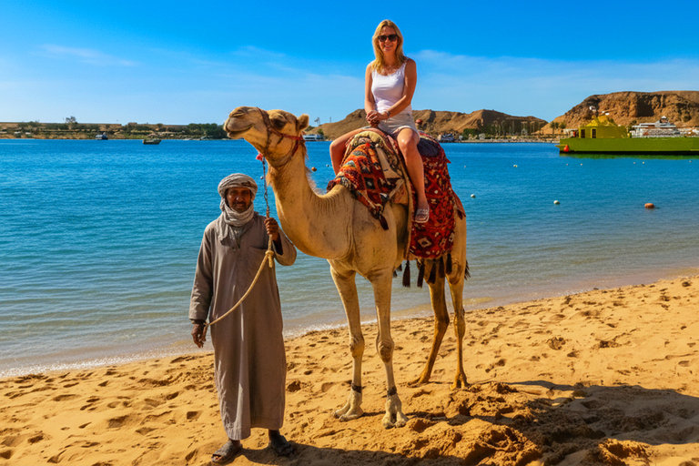 Sharm El Sheikh Combo Safari & Ras Mohammed Adventure