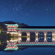 From Busan: Gyeongju UNESCO World Heritage Guided Day Tour