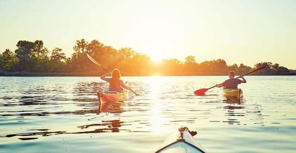 Cancun: Sunrise, Mid-Morning or Sunset Mangrove Kayak Tour