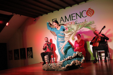 Granada: Espectáculo Flamenco Tradicional de 1 Hora en PalacioFlamenco en Palacio Granada