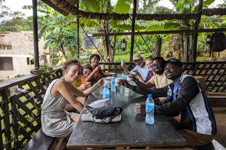 1 Day Private Cultural tour to Materuni Waterfalls & Chemka