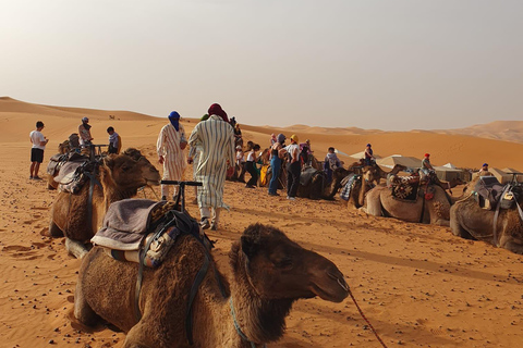 From Marrakech 4 days Sahara Merzouga with Camel & Quad bike From Marrakech 4 days desert merzouga with camel & Quad bike