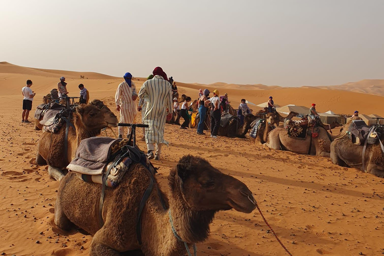 From Marrakech 4 days Sahara Merzouga with Camel & Quad bike From Marrakech 4 days desert merzouga with camel & Quad bike