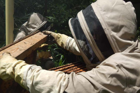 Zanzibar: Las Jozani, Centrum Motyli i Wycieczka PszczelarskaZanzibar: Las Jozani, Centrum Motyli i wycieczka do pasieki