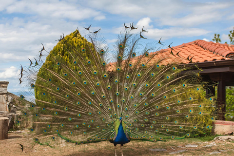 Ohrid, Berat, Gjirokastra, & Riviera in 3 Days from Tirana