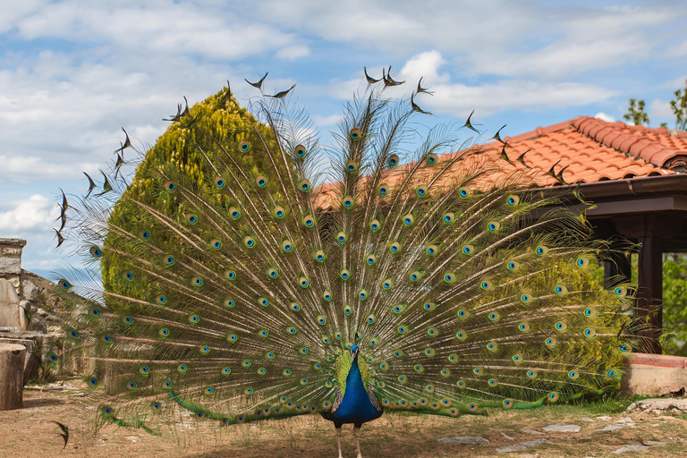 Ohrid, Berat, Gjirokastra, & Riviera in 3 Days from Tirana