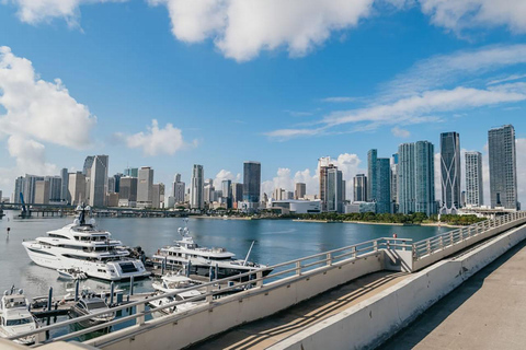 Miami by Day and Night: 2-Day Hop On, Hop Off Experience2-Day Miami Essential Night Tour