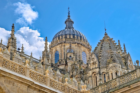 Luxus-Tour Salamanca &amp; Iberischer Schinken ab MadridMittagessen Tour