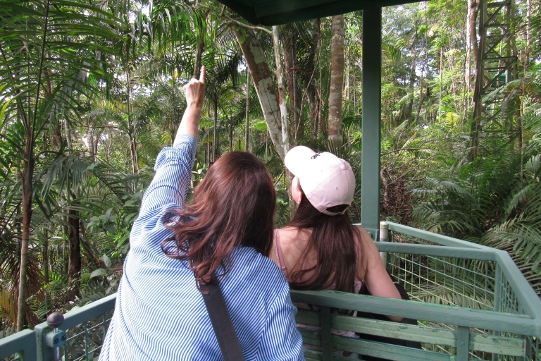 Podniebny tramwaj i sanktuarium leniwców w lesie deszczowym