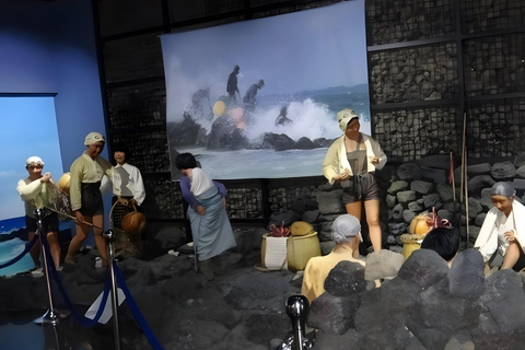 Jeju:K-Drama Spot When Life Gives You Tangerines Hotel pick