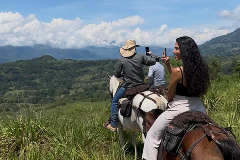 Medellín: Hacienda Adrenalina Paragliding, ATV Tour & Horses
