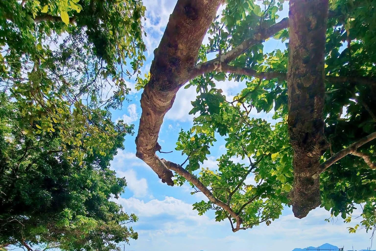 El Nido: Best Private C+D Island-Hopping Tour with Lunch