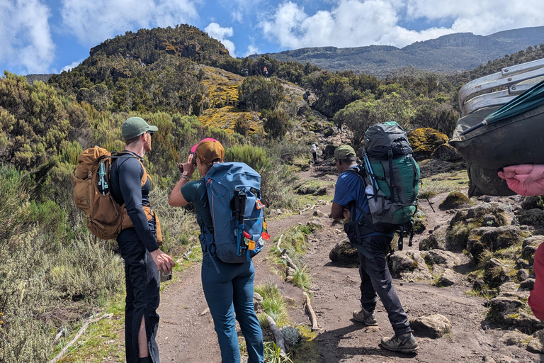 From Moshi: Kilimanjaro Day Trip to Shira with Hike & Picnic