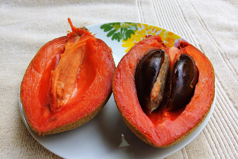 Costa rica's Tropical fruit Guided Tasting in San Jose