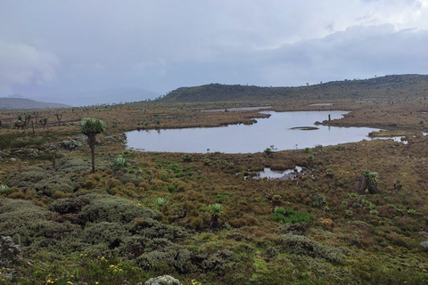 Aberdares: Caminhada guiada pelas Sete Lagoas com vistas panorâmicasAberdares: Caminhada guiada pelas Sete Lagoas com vistas incríveis