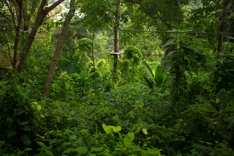 Phuket: Jungle Xtreme Adventure Park Entry Ticket 65 Platforms