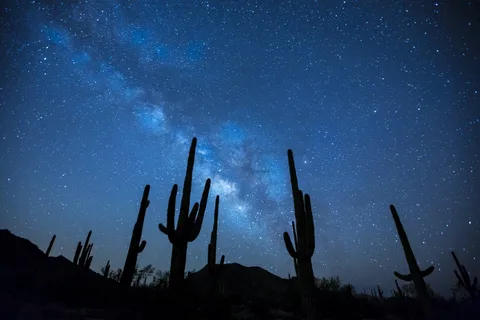 San Pedro de Atacama: Astronomical Night Tour