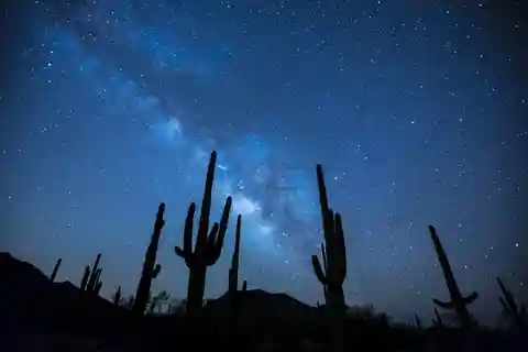 San Pedro de Atacama: Tour nocturno astronómico