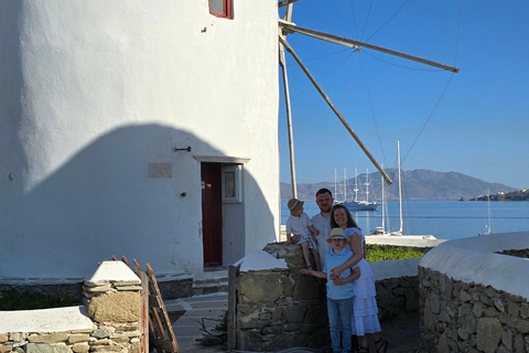 4 heures de visite privée de l&#039;île de Mykonos en minibus de luxe