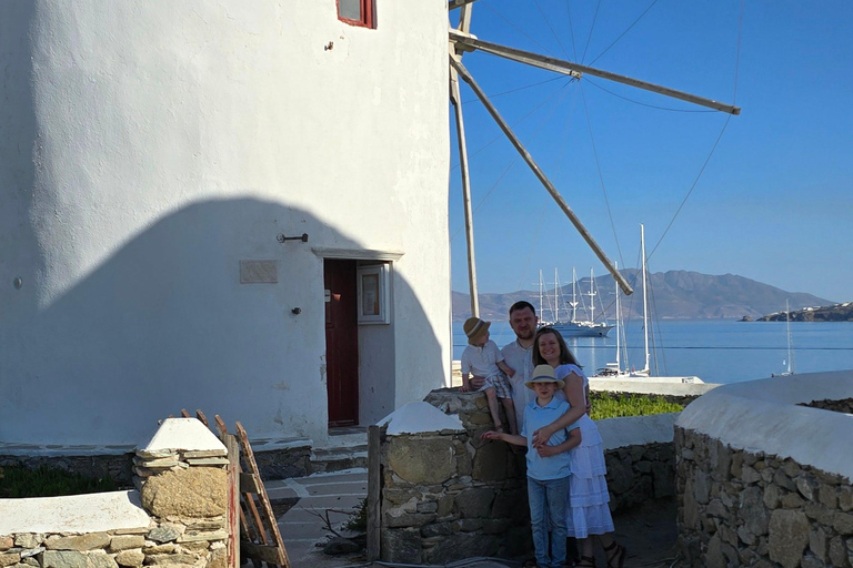 4 horas de tour privado por la isla de Mykonos en minibús de lujo