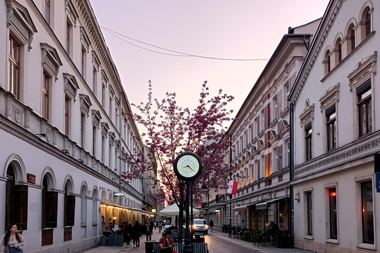 Lodz: Standard Walking Tour – 2 Hours of Urban Stories