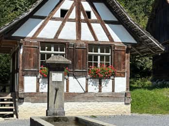 Interlaken: Tour zum Schweizer Freilichtmuseum Ballenberg