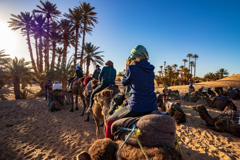 从阿加迪尔出发：苏斯河骆驼骑行