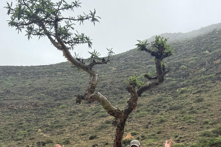 Salalah: West Coast Tour with Beaches and Cliffs