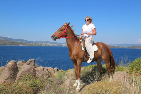 Bodrum: Horse Riding Experience with Forest or Seaside Route Seaside Horse Riding Tour (2 Hours – Beach Route)