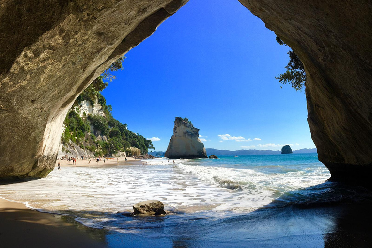 Auckland: Cathedral Cove &amp; Coromandel – tur i liten gruppAuckland: Tur i liten grupp till Cathedral Cove och Coromandel
