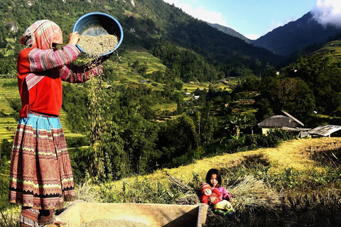 Mu Cang Chai 2 Days Tour Trekking Terraced Rice Field