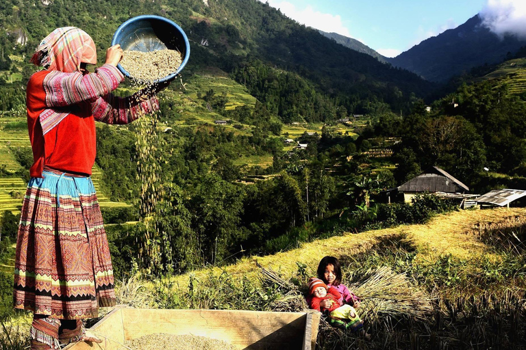 Mu Cang Chai 2 Days Tour Trekking Terraced Rice Field