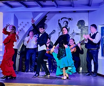 Seville: Flamenco Show at Tablao Los Gallos