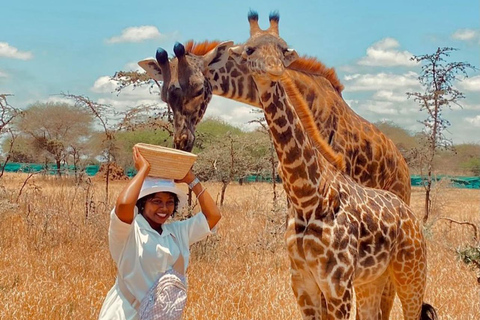 Moshi/Arusha : Day trip serval wildlife & Masai village tour Moshi / Arusha: Visit to Maasai Village