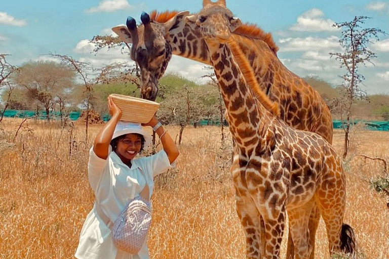 Moshi/Arusha : Day trip serval wildlife & Masai village tour Moshi / Arusha: Visit to Maasai Village