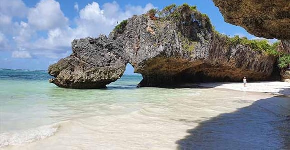 Zanzibar: Swim with Turtles, The Rock & Mtende Beach