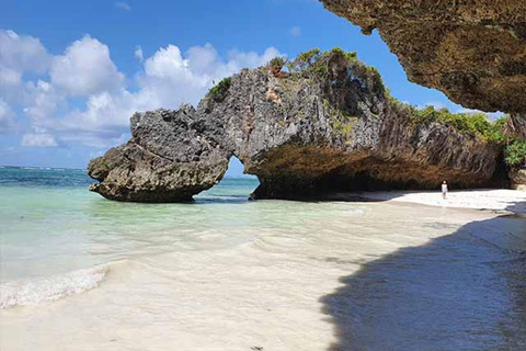 Zanzibar: Jozani Forest, Butterfly Center & Mtende Beach No HmHotel pickup and drop-off all included