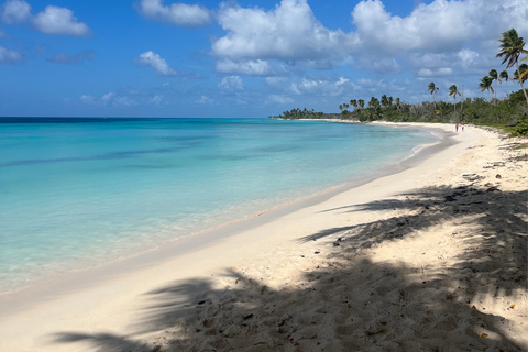 Punta Cana: Three Treasures of Saona, Palmilla, Pueblo & Canto de la Playa