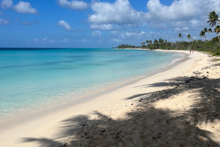 Punta Cana: Three Treasures of Saona, Palmilla, Pueblo & Canto de la Playa
