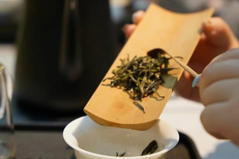Shanghai: Tea Ceremony and Calligraphy with Transfer