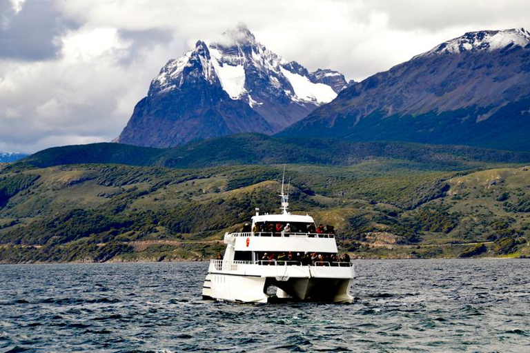 Ushuaia: Boat Trip to Isla Martillo: Penguins in the Beagle Channel Ushuaia: Navigation to Martillo Island: Penguins along the Beagle Channel