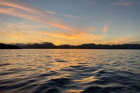 Visite privée de la côte en hiver : Tour en bateau panoramique de 2,5 heures