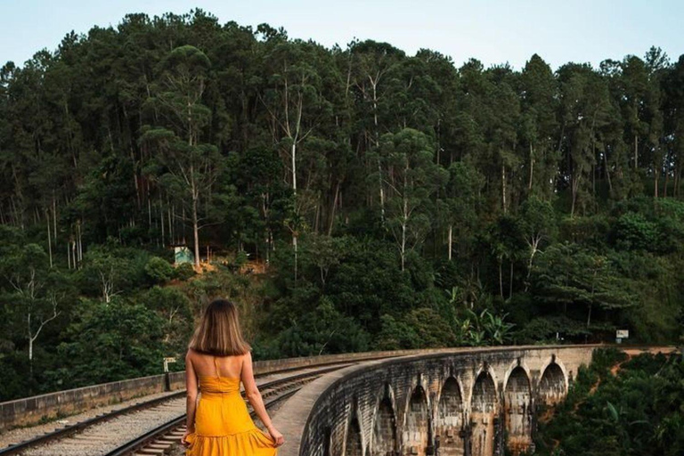 Ella: Ella Day Tour NineArch Bridge with Expert Female Guide Ella tour from Colombo, Negombo, Mt lavinia, Kalutara
