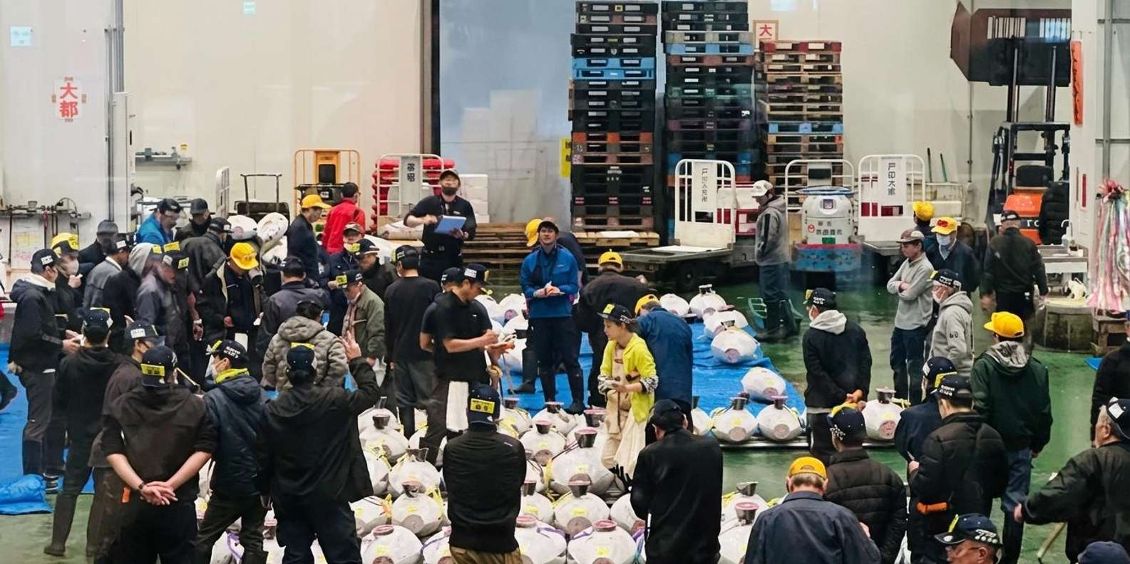 Toyosu fish market tour — tuna auction, wholesale hall and Tsukiji outer market — image 13