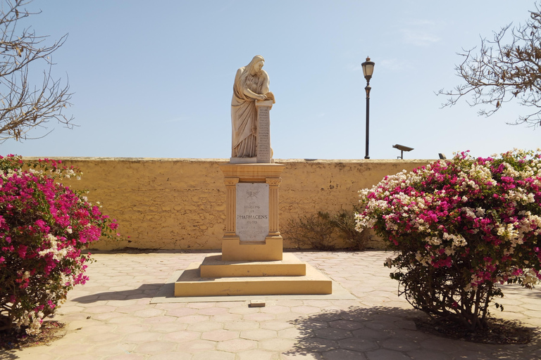Discover the Hidden Gems of Gorée Island and Dakar in One Day