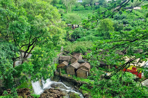 Trekking Rui Vaz, Longueira i ogród botaniczny