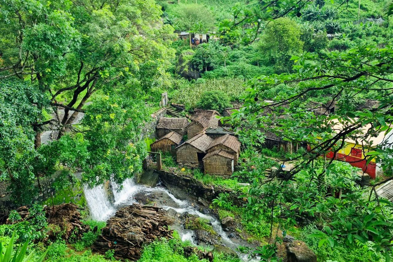 Trekking Rui Vaz, Longueira i ogród botaniczny