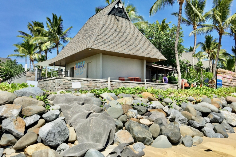 De Sofitel Fiji y todos los hoteles de Denarau a la playa de Natandola& RegresoDe Sofitel Fiji& Todos los hoteles de Denarau a Playa Natandola & Regreso