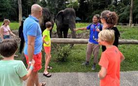 ELEPHANT SANCTUARY GUIDED TOUR WITH WATERFALL HIKE